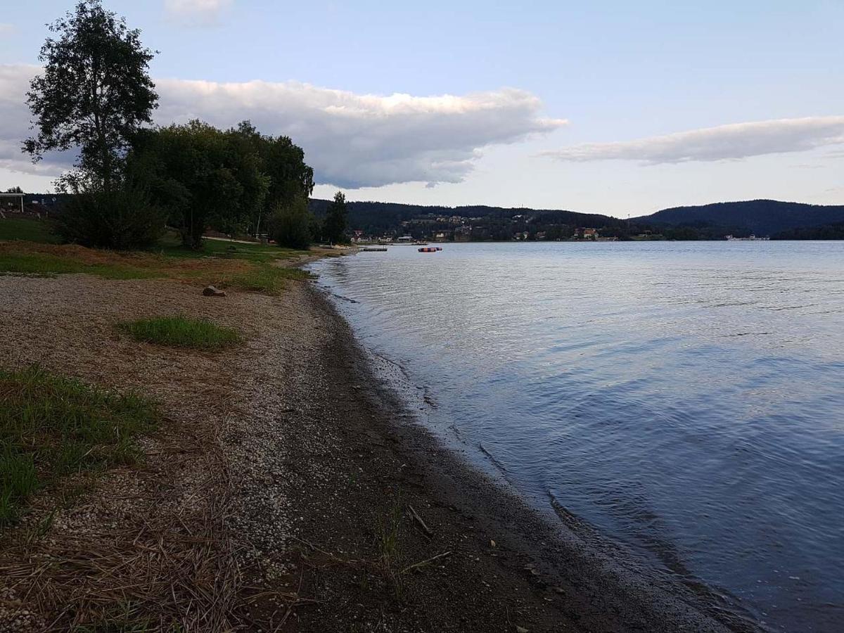 Vila Sunny House Lipno nad Vltavou Exteriér fotografie