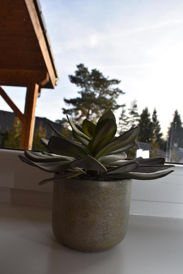 Vila Sunny House Lipno nad Vltavou Exteriér fotografie